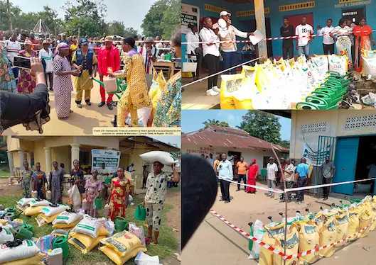 Réponse de sécurité Alimentaire aux déplacés