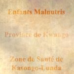 Zone de Santé De kasongo-Lunda